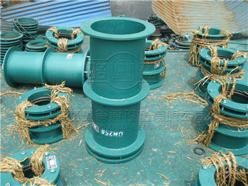 <a href=http://www.www.efficientcleaningsolutions.com target=_blank class=infotextkey>防水套管</a>